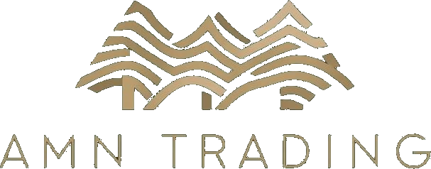 AMN Trading Logo